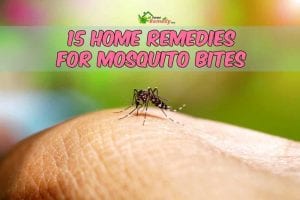 mosquito biting someone with caption home remedies for mosquito bites