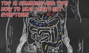 gut with caption how to heal leaky gut