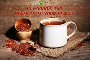 rooibos tea in cup