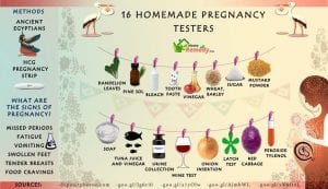 16 home made pregnancy tests
