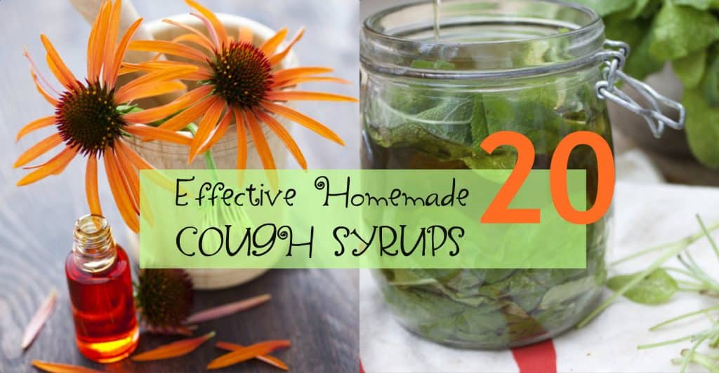 homemade-diy-cough-syrups - honey for cough