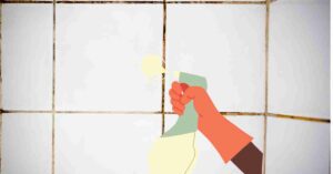 Best Cleaner For Grouts