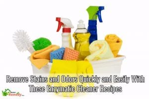 enzymatic cleaner