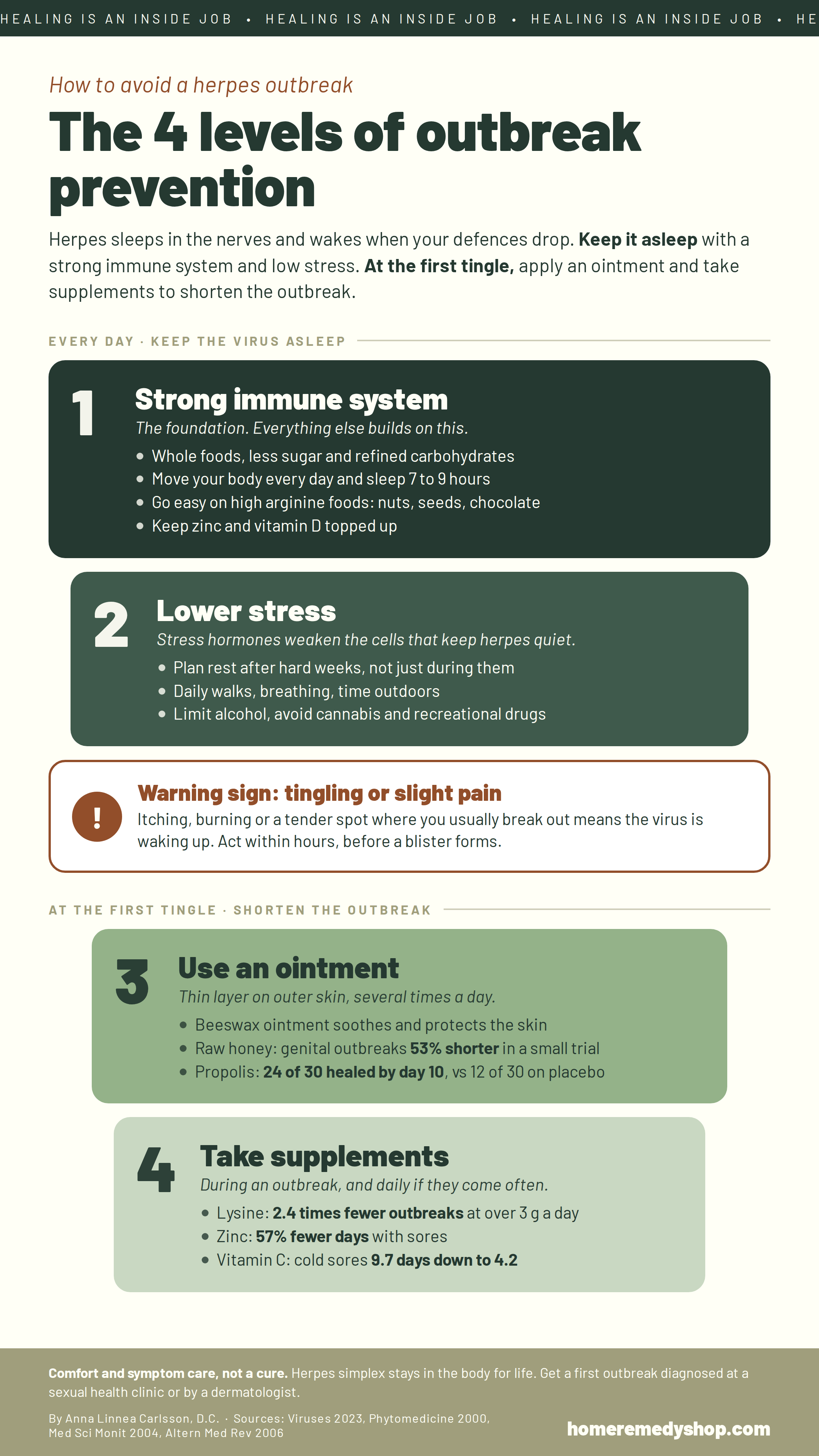 Infographic: the 4 levels of herpes outbreak prevention. 1, a strong immune system through diet, movement, sleep, zinc and vitamin D. 2, lower stress. Warning sign: tingling or slight pain means the virus is waking up. 3, use a beeswax, honey or propolis ointment. 4, take lysine, zinc and vitamin C.