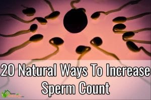 how to increase sperm count