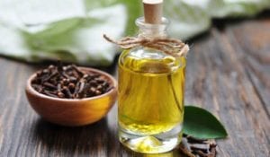 Clove oil uses